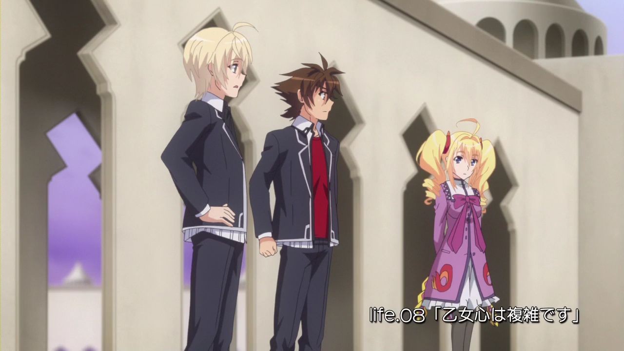 Characters appearing in High School DxD Hero Anime