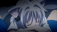 Kawaii sleeping Koneko