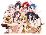 HS DxD Game - Dress Break!