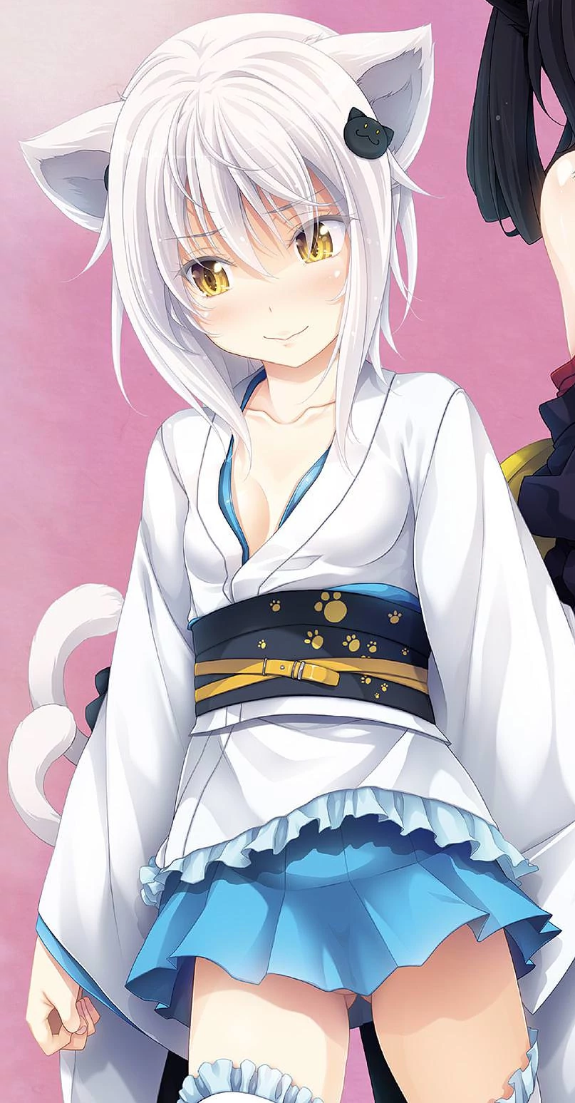 Cute Anime Pics - Anime: High School DxD Character: Koneko Toujou Link