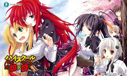 Wiki High School DxD