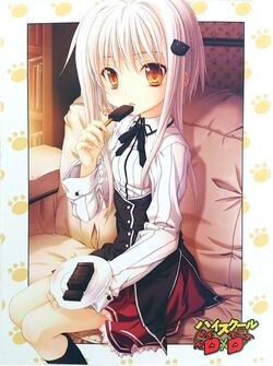 Koneko Toujou/LN & Manga Gallery, High School DxD Wiki