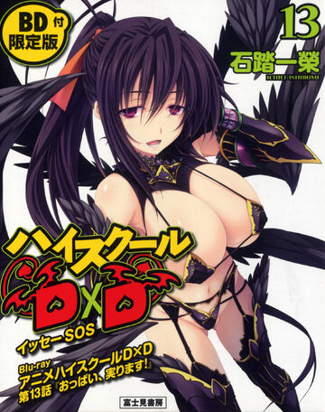 High School DxD  Light Novel 