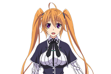 Original XIII Type.II 