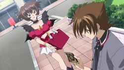 The Familiars  High School DXD Universe Amino