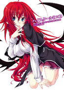 Rias in Wonderland front cover