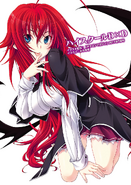 Rias in Wonderland cover