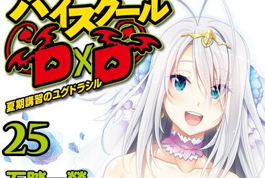 True High School DxD Vol. 4 (Light Novel) 100% OFF - Tokyo Otaku Mode (TOM)