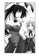 Asia and bunny girl Akeno