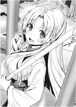 High School DxD DX  Light Novel 