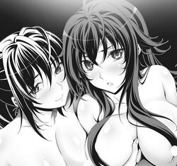 High school DxD light novel volumen 22without 22 : r/HighschoolDxD