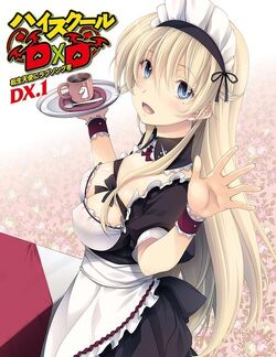 High School DxD DX  Light Novel 