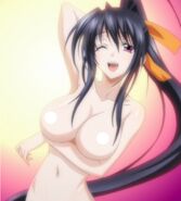 DxD New End2 Akeno