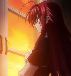 Rias Gremory  Highschool dxd, Anime high school, Dxd