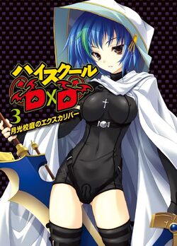 Koneko Toujou/LN & Manga Gallery, High School DxD Wiki