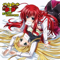 High School DxD, Vol. 10 by Hiroji Mishima, Paperback