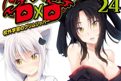 True High School DxD Vol. 1 (Light Novel) 100% OFF - Tokyo Otaku