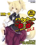 High School DX.2 cover limited.jpg