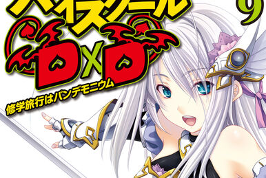 High School DxD, Vol. 5 (light novel), Novel