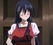 A Satisfied Akeno