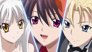 HighschoolDxD 12 033