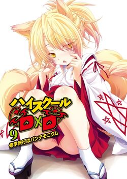 High School DxD Hero Anime's Story Covers Novels' 9th, 10th Volumes - News  - Anime News Network