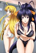 Asia and Akeno in underwear