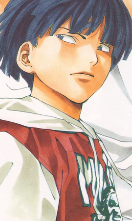 Hikaru no Go 2, Hikaru no Go Wiki