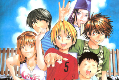 Hikaru no Go: Insei Choujou Kessen, Hikaru no Go Wiki