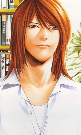 Hikaru No Go, Wiki