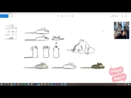 5F87580E-7A82-44AE-B622-54C9A76CF2BE.png (762 KB)