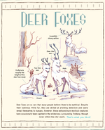 Deer fox book