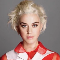 Katy Perry How I Met Your Mother Wiki Fandom