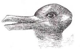 The Rabbit-Duck illusion