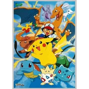 Pokémon poster