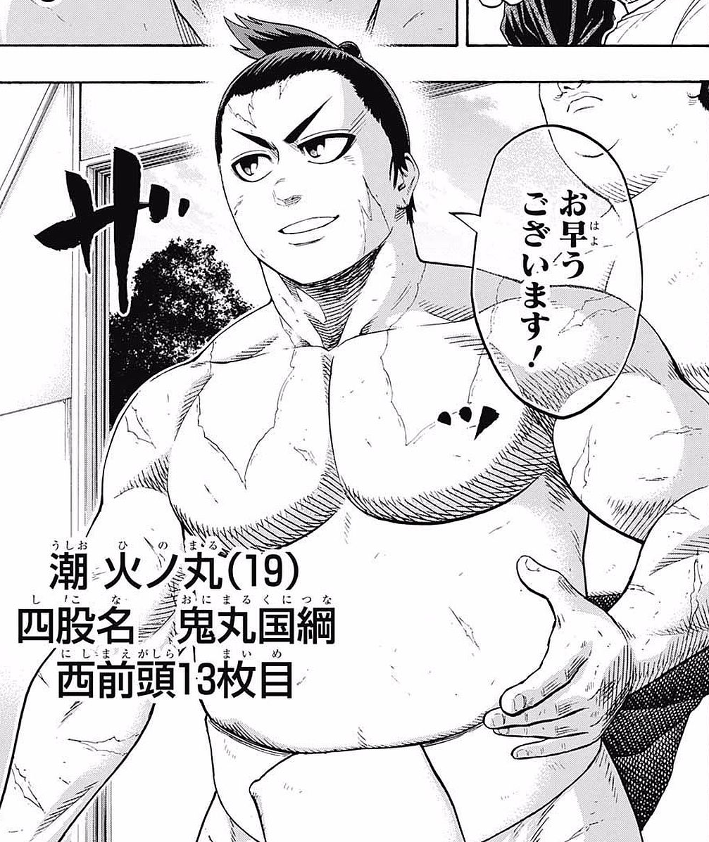 Hinomaru Sumo - Tome 11