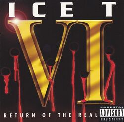 VI- Return of the Real