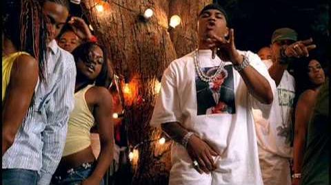 Flap Your Wings (Nelly single) | Hip-Hop Database Wiki | Fandom