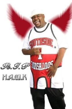 Big Hawk hawk-1-