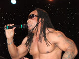 Melle Mel (rapper)