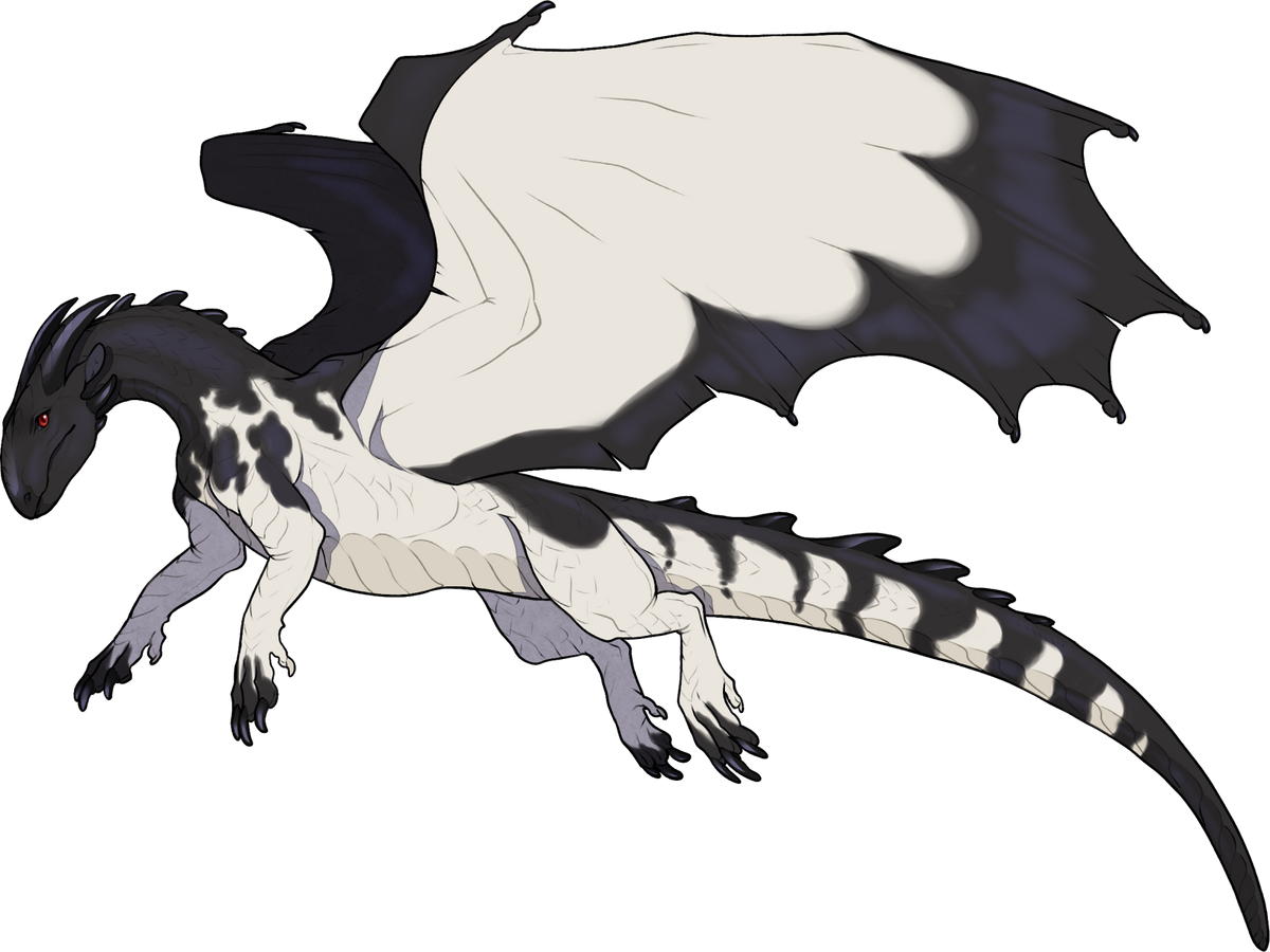 Parnassian | His Majesty's Dragon Wiki | Fandom