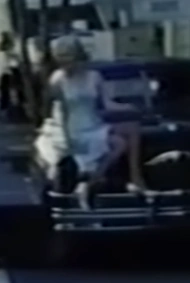 Kim Novak | Historical films Wiki | Fandom