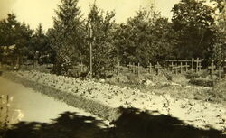 Mogiły żołnierzy polskich pod Milejowem 1939
