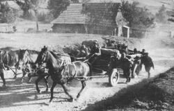 Niemcy Beskid 1939