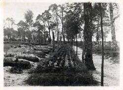 Mogiła ofiar bombardowania Koła 1939