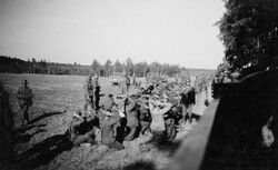 Polscy jeńcy w Borach Tucholskich bitwa 1939