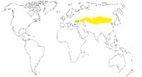 Wielki Step Euroazjatycki oznaczono kolorem żółtym
