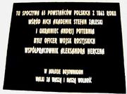 Tablica pieskowa skała 1863