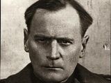 Aleksander Krzyżanowski
