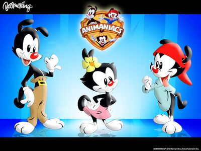 HD wallpaper: animaniacs, animation, cartoon, comedy, family | Wallpaper  Flare